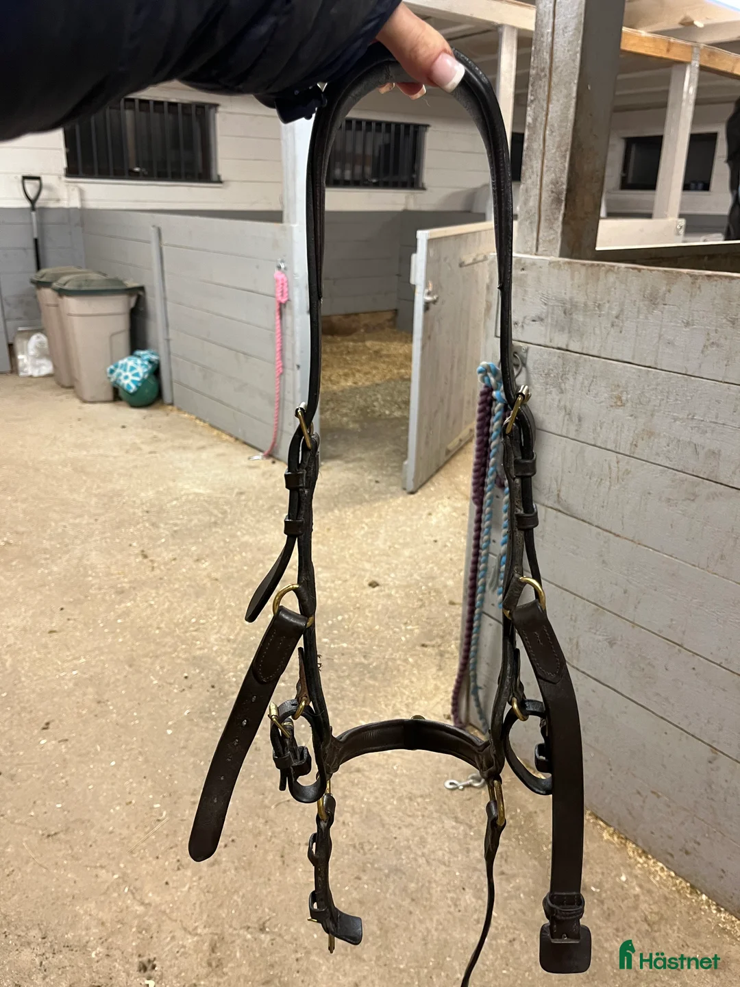 Träns hästutrustning till salu: Brunt miclemträns i Landsbro - Annons 3
