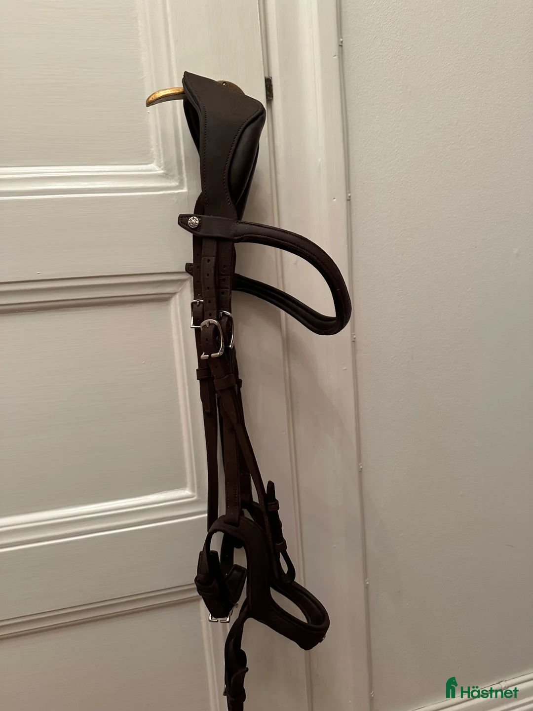 Träns hästutrustning till salu: Antares - precision Y-nosgrimma i Stockholm - Annons 4