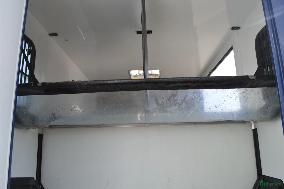 Hästlastbilar  fordon & transport till salu: Theault 2019 Hästlastbil 3 sits Hög lastvikt - Annons 7