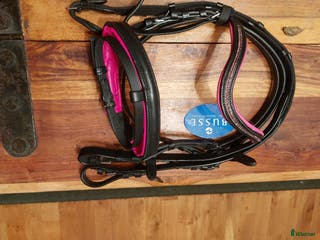 Träns hästutrustning till salu: Träns till minishettis i Lilla Edet - Annons 1