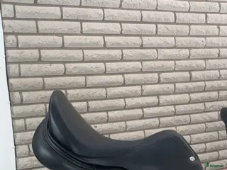 Sadlar hästutrustning Equipe olympia i Fagerhult - Annons 3