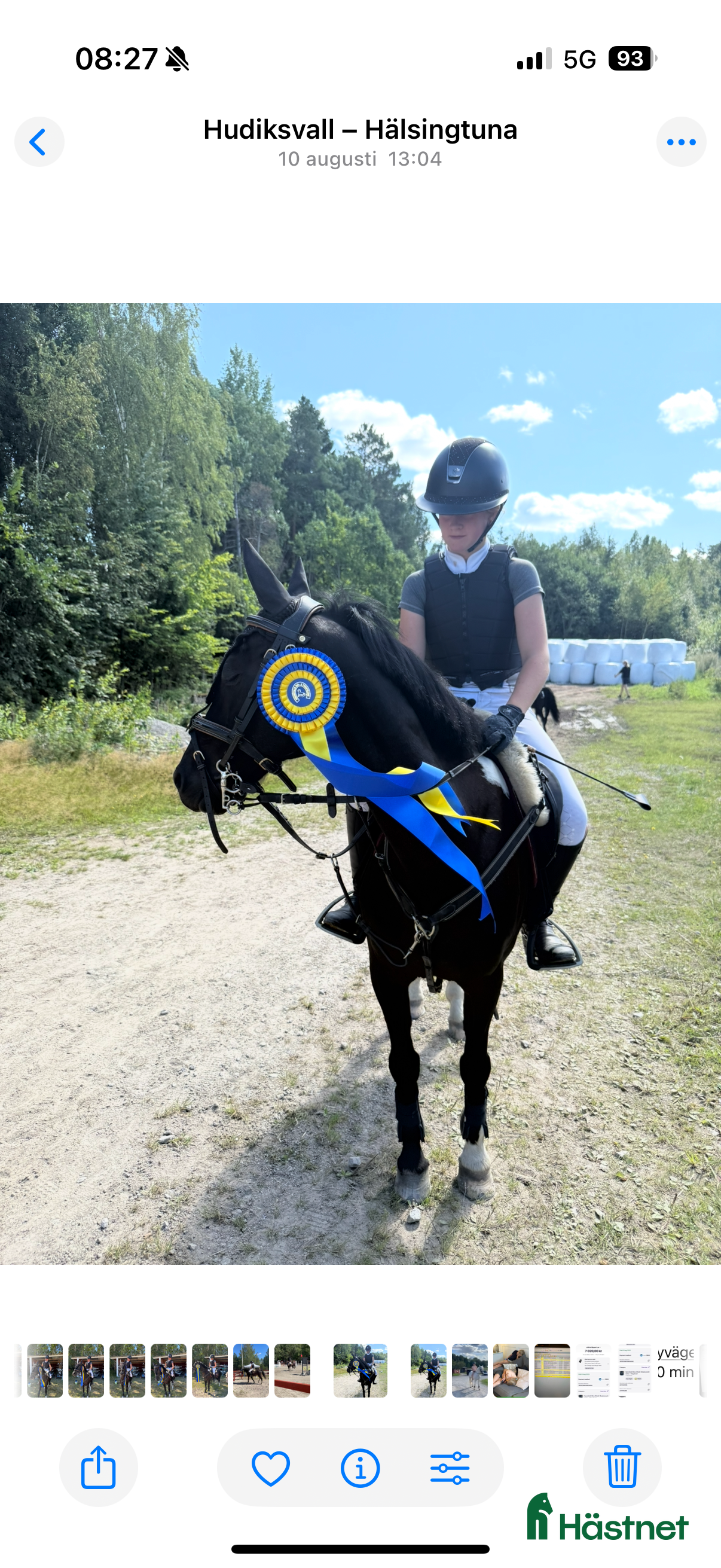  hästar Fantastisk tävlingsponny till salu  i Älvkarleby - Annons 9