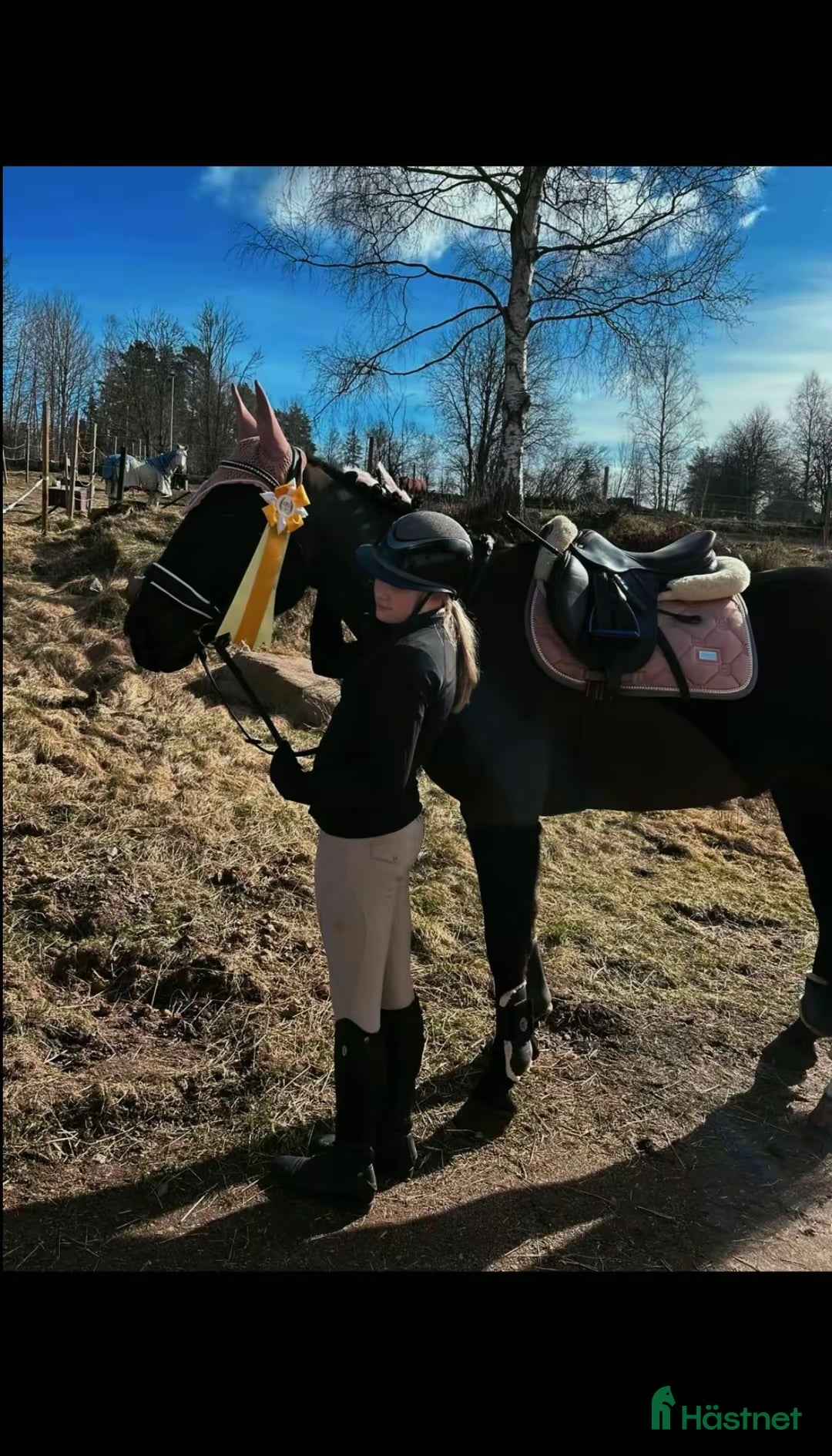  hästar Hästen med hjärta av guld!🏅❤️🐴 - Annons 2