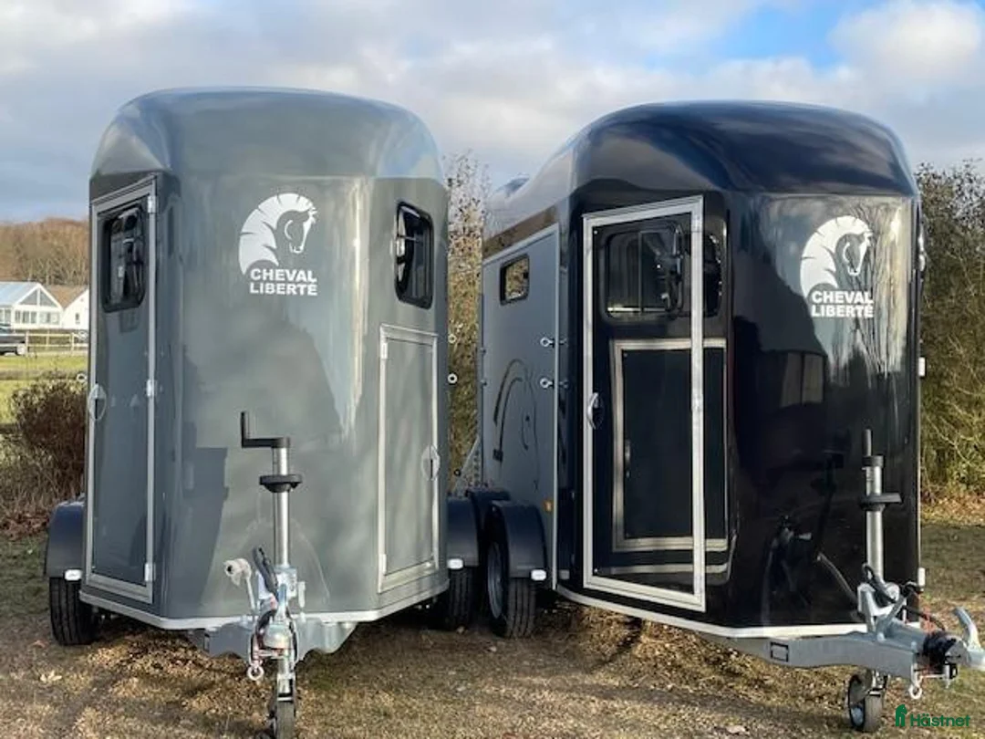 Hästtransporter  fordon & transport till salu: Ny Gold 3 med dubbdäck och Wifi-kamera på köpet! - Annons 1