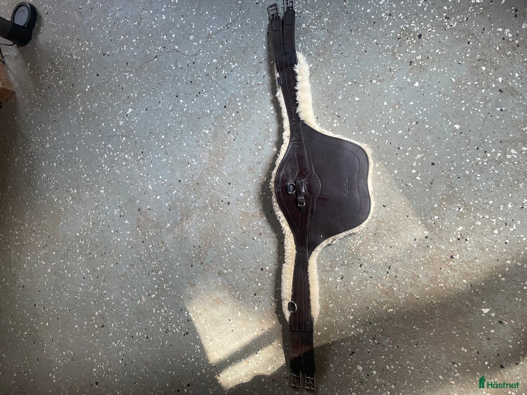 Övrig Hästutrustning hästutrustning till salu: Märkesutrustning säljs billigt i Sävedalen - Annons 2