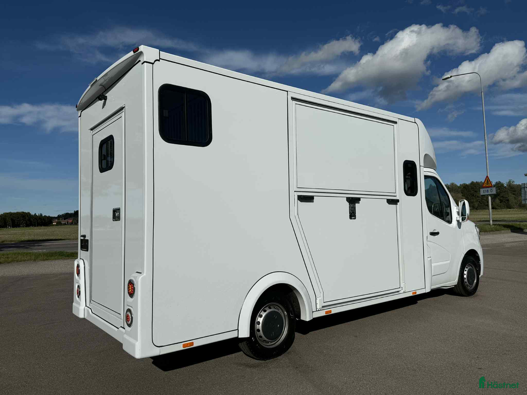 Hästlastbilar  fordon & transport till salu: KAMPANJ NORSIC HORSE 5 STUTERI *HÖG LASTVIKT* i Köping - Annons 5