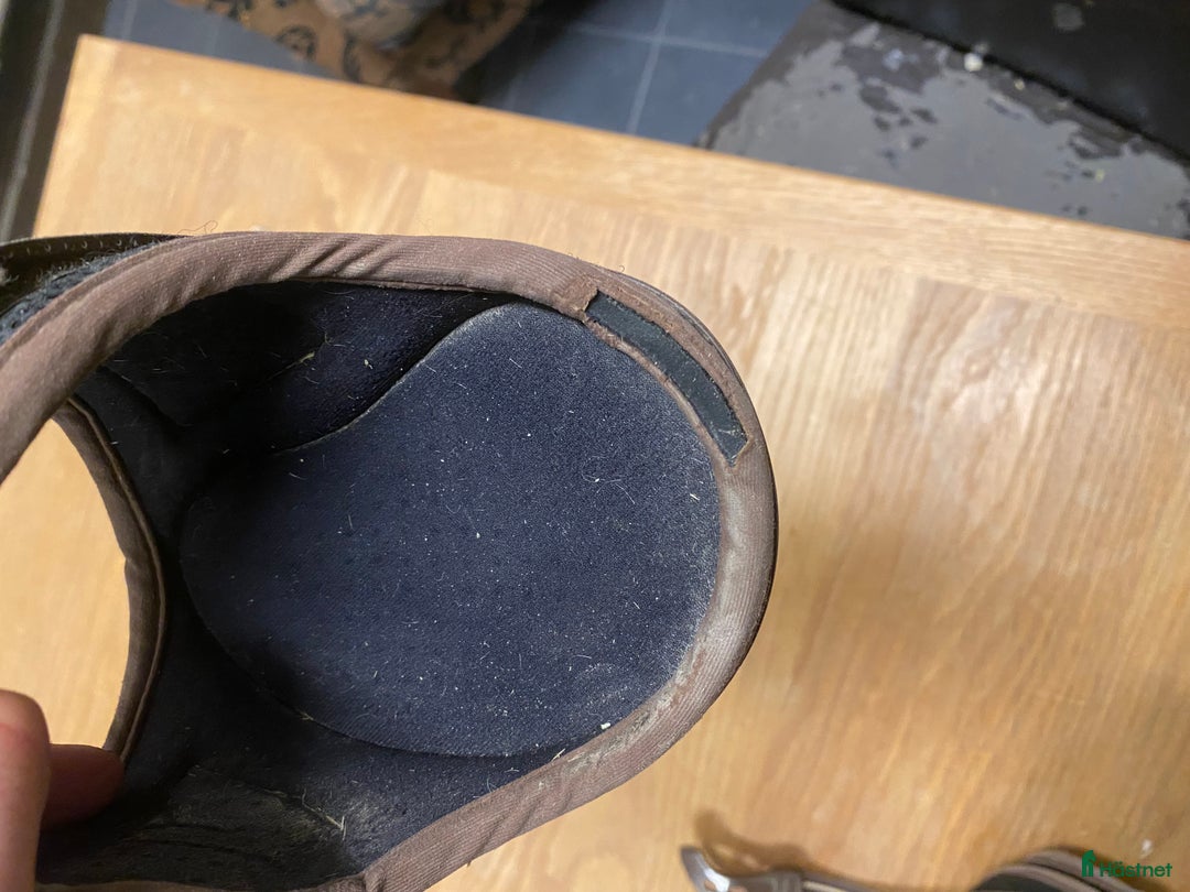 Benskydd hästutrustning till salu: Veredus bakskydd i Västerljung - Annons 4