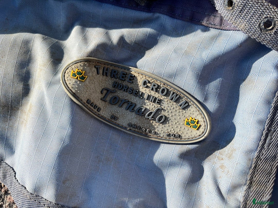 Övrig Hästutrustning hästutrustning till salu: Ponnysaker i Västerås - Annons 13