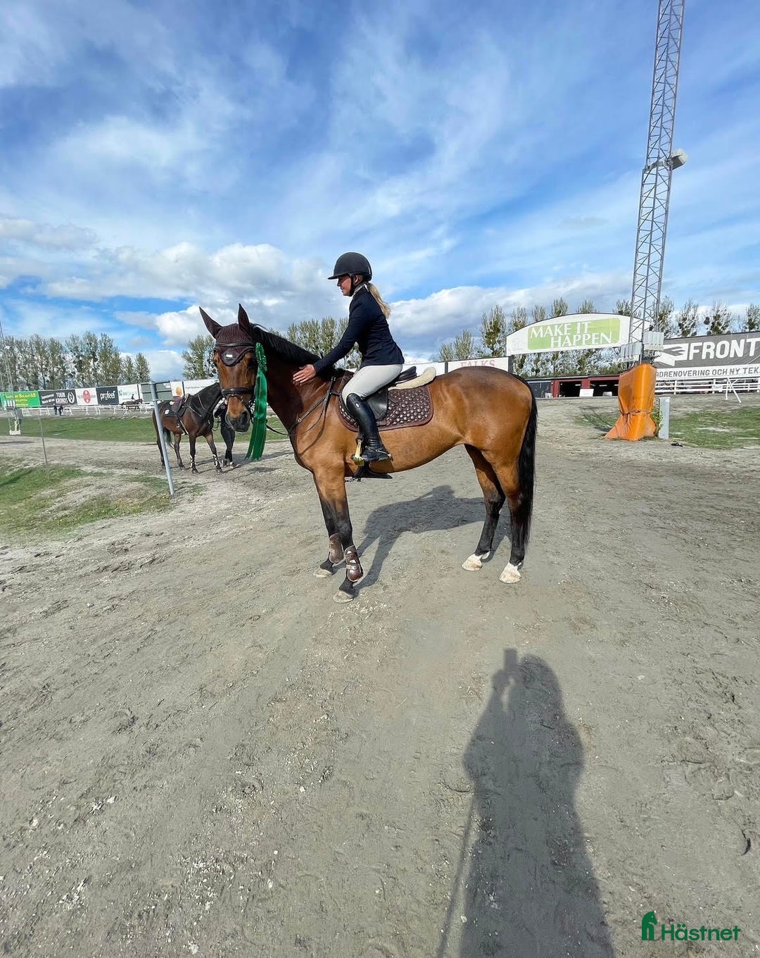 Allround hästar till salu: Toppstammad häst för varierad ridning i Sigtuna - Annons 2