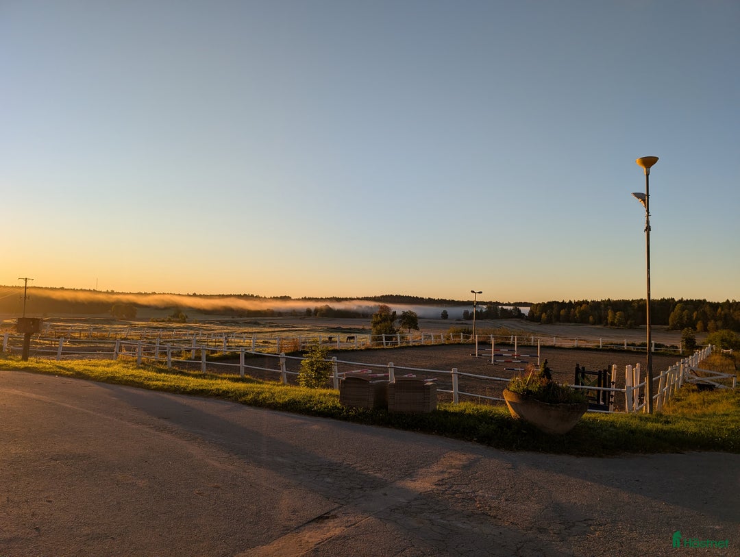  stallplats finnes: Lösdrift med fullservice och ridhus i Brottby - Annons 3