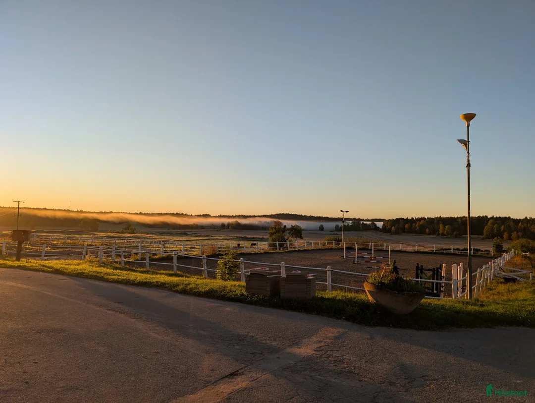  stallplats finnes: Lösdrift med fullservice och ridhus i Brottby - Annons 3