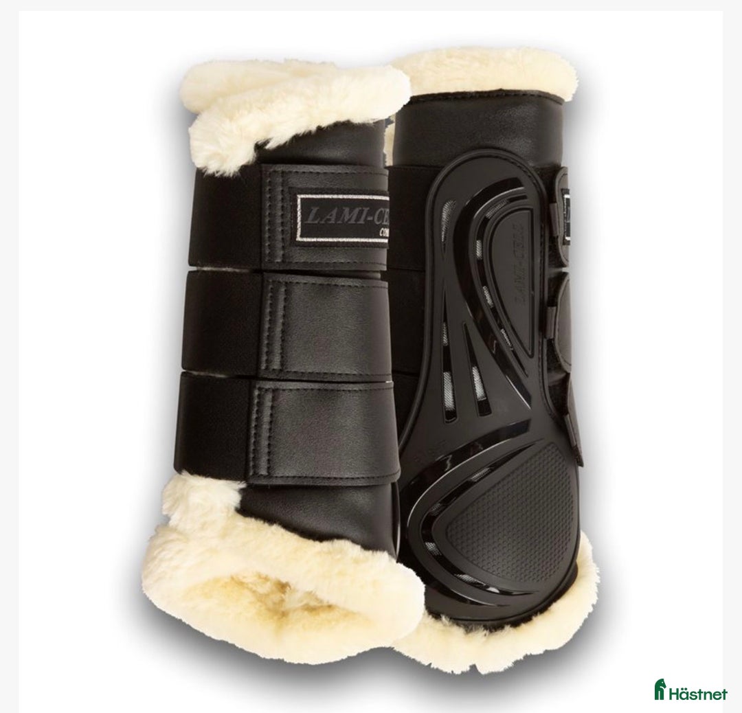 Benskydd hästutrustning till salu: Lamicell benskydd - Annons 1