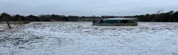  stallplats finnes: Lösdrift och stall finnes  - Annons 2