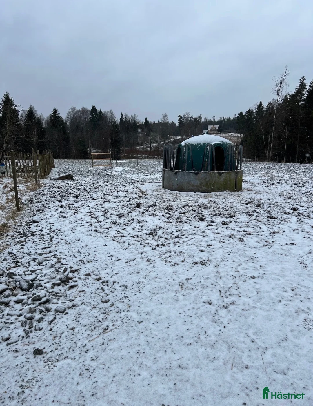  stallplats finnes: Lösdrift och stall finnes  - Annons 2