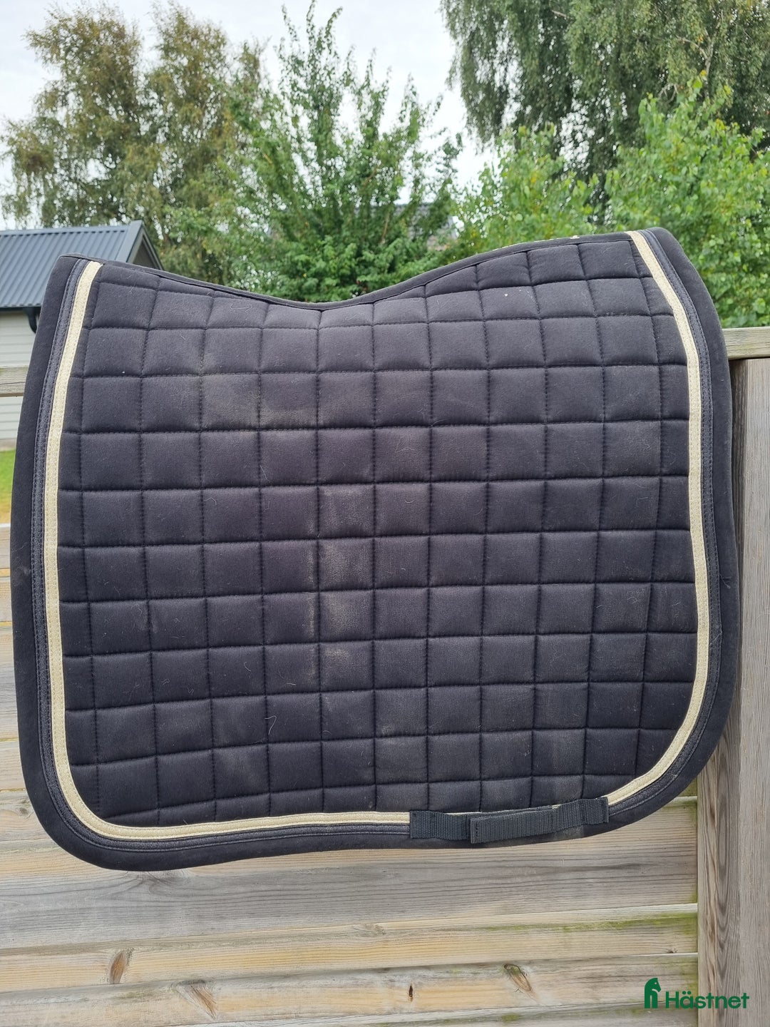 Schabrak & Vojlockar hästutrustning till salu: Lamicell dressyrschabrak i Tvååker - Annons 2