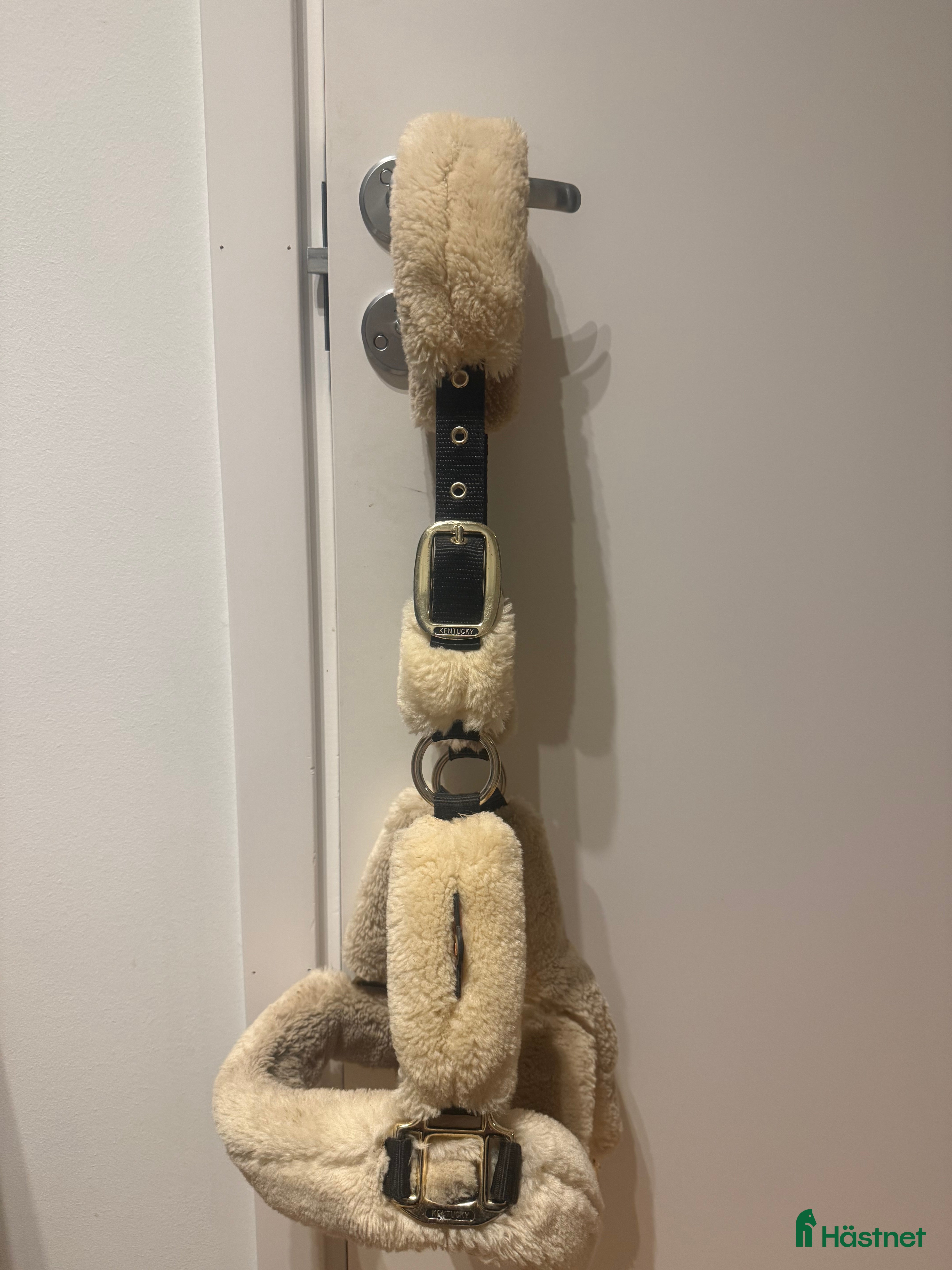 Övrig Hästutrustning hästutrustning Kentucky grimma i Jönköping - Annons 8