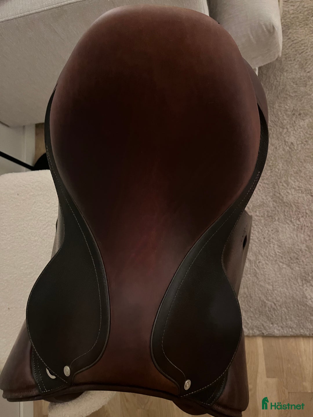 Sadlar hästutrustning till salu: Antares Altair 17,5, AO1 i Sundsvall - Annons 3