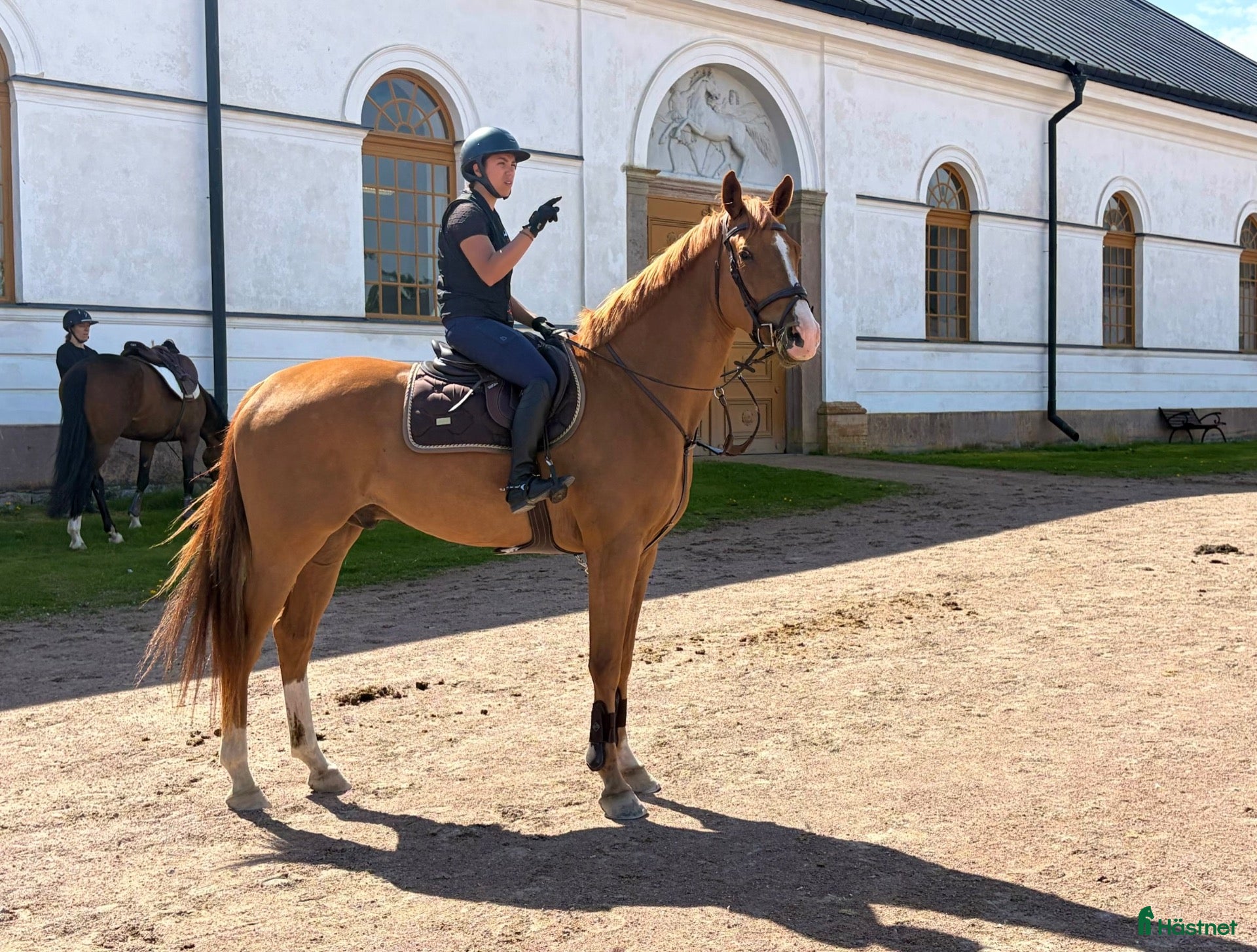  hästar Fin 4 åring med potential!  - Annons 14