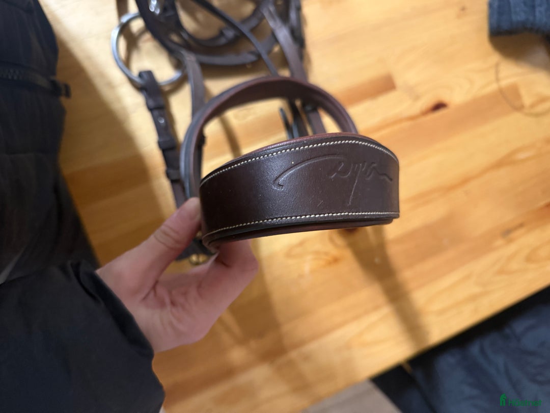 Träns hästutrustning till salu: Superfint Dyon träns! i Höllviken - Annons 8