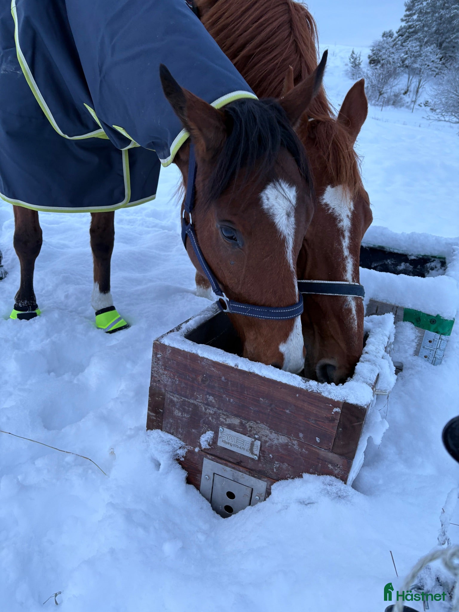  stallplats Tvärdala/Västra Husby - Annons 9