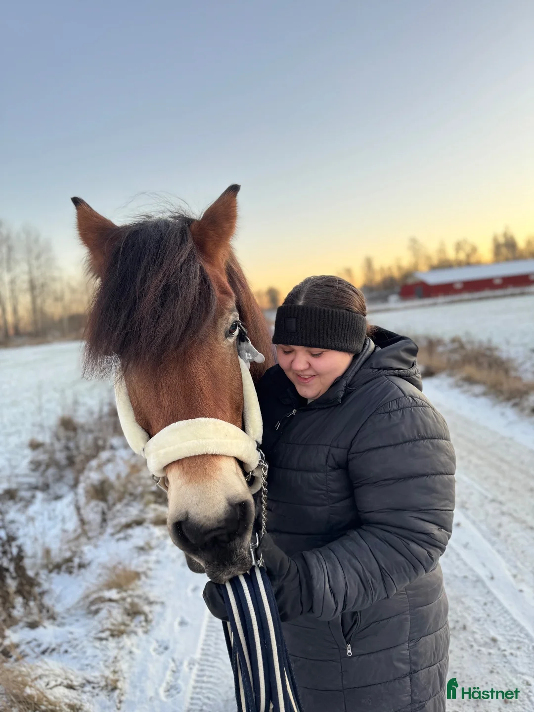  hästjobb finnes: 🐴 Söker jobb i stall 🐴 i Hållsta - Annons 2