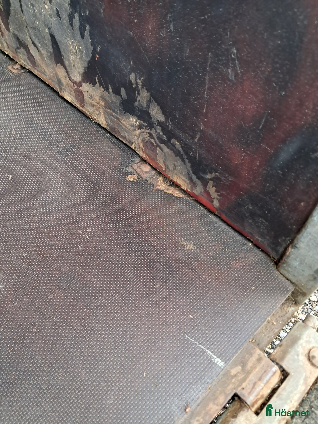 Hästtransporter  fordon & transport till salu: Perfekt budgettransport! i Bollebygd - Annons 5