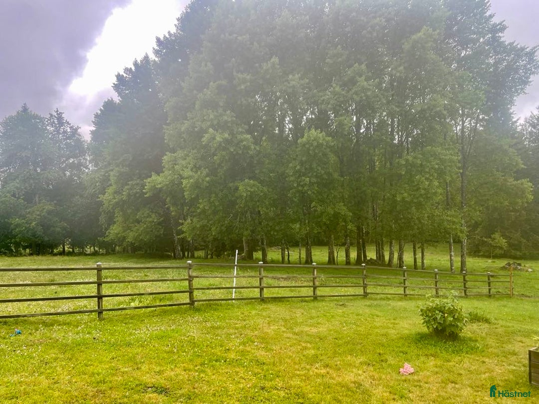  stallplats finnes: Lösdriftsplats finnes - Bjärnum i Bjärnum - Annons 2