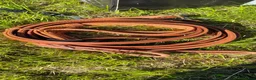 Körselar körning till salu: Finntack QH komplett - Annons 4