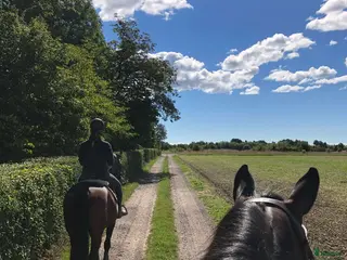 stallplats Vi har tre boxplatser lediga😊 - Annons 3