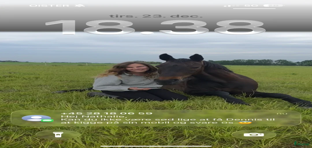 Galleribild {{count}}