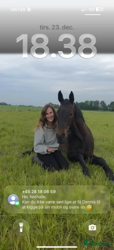 Galleribild {{count}}