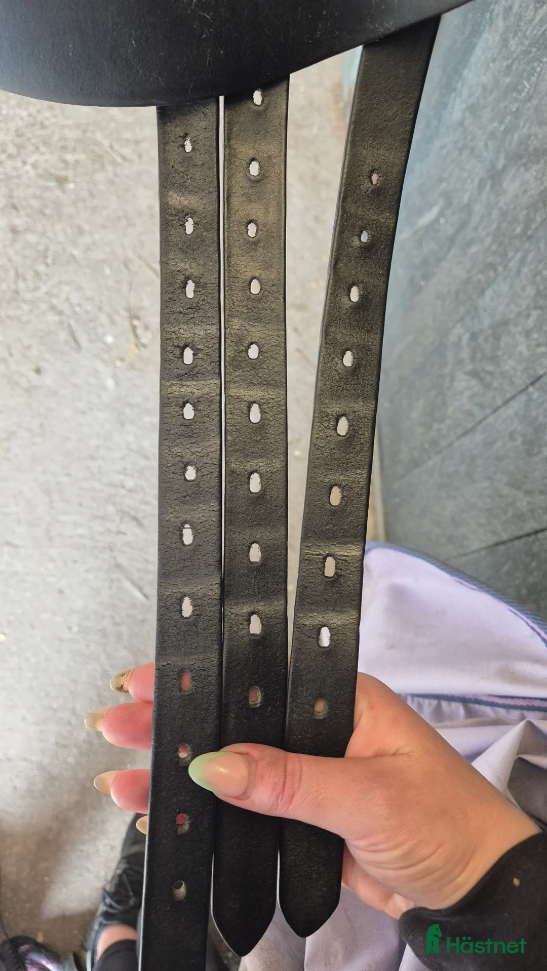 Sadlar hästutrustning till salu: Väl omhändertagen Stubben Tristan i Kungsör - Annons 6