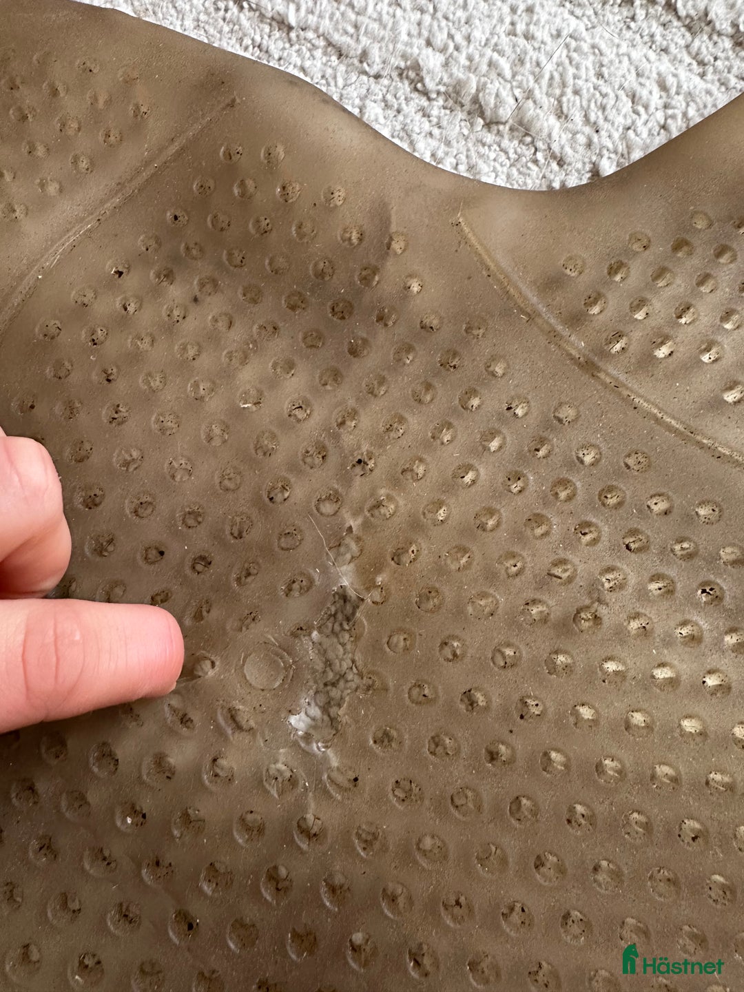 Sadeltillbehör hästutrustning till salu: Allt för 400 i Järfälla - Annons 9