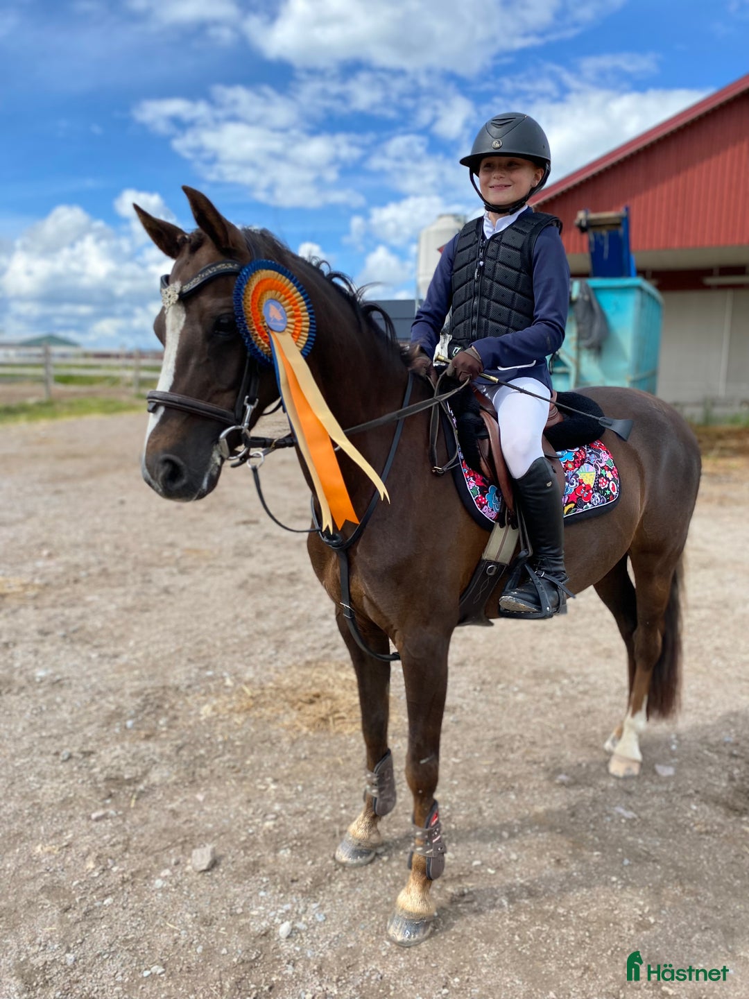 Hoppning hästar till salu: Vackert b-ponnysto i Sala - Annons 1