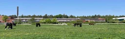  hästjobb finnes: Stalltjänst på Ekeby Gård i Danderyd från 1/8 2026 - Annons 1