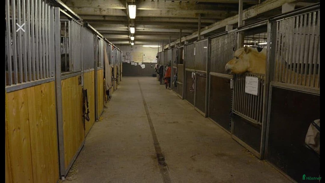  stallplats finnes: Boxplats i Vikingstad - Annons 3