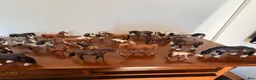 Övrig utrustning övrig utrustning till salu: 24 Schleich hästar samt en schäfer  i Göteborg - Annons 1