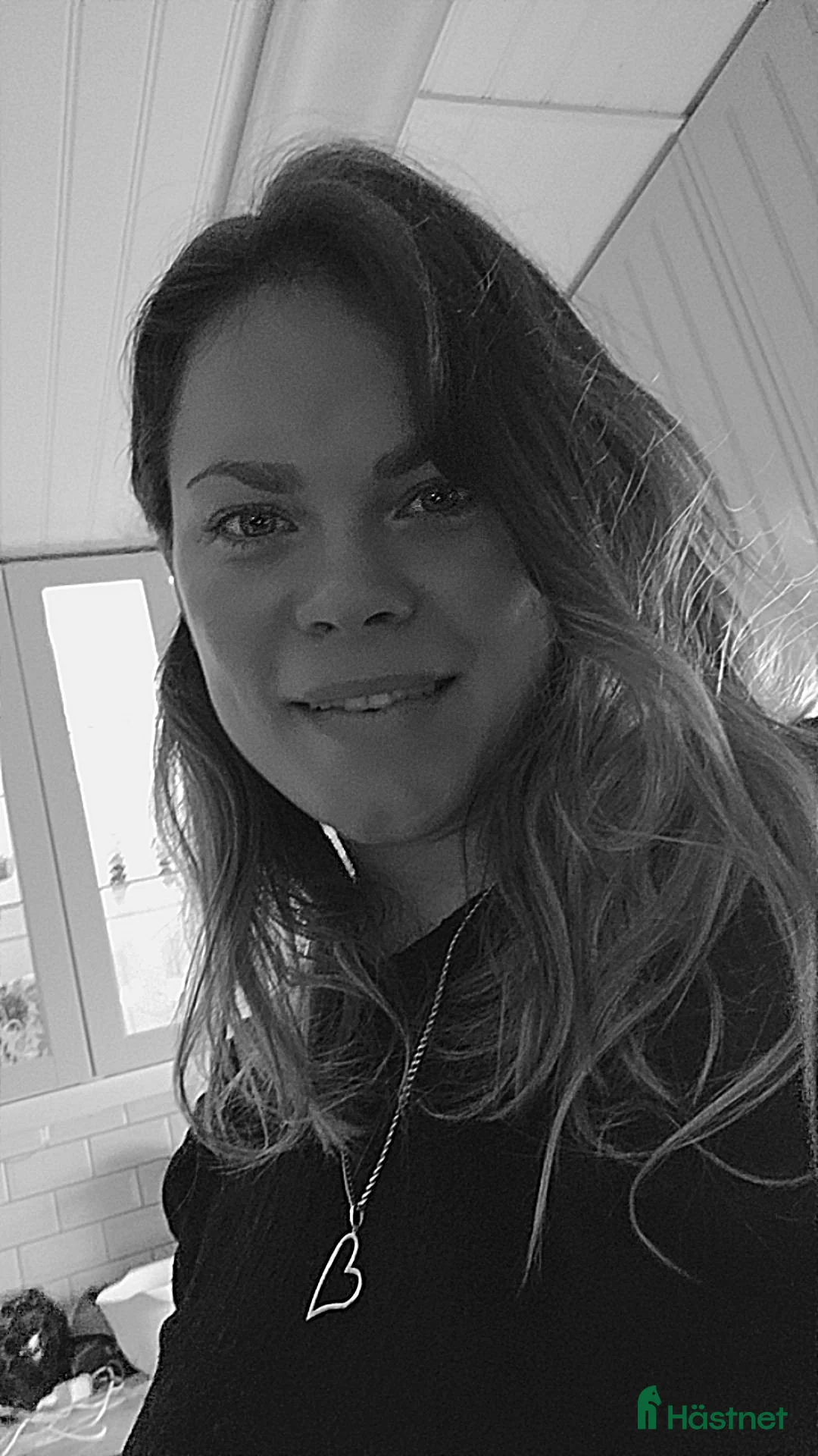 Galleribild {{count}}