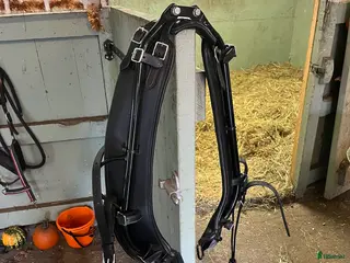 Övrig Travutrustning trav till salu: Anatomisk dragloke - Annons 13