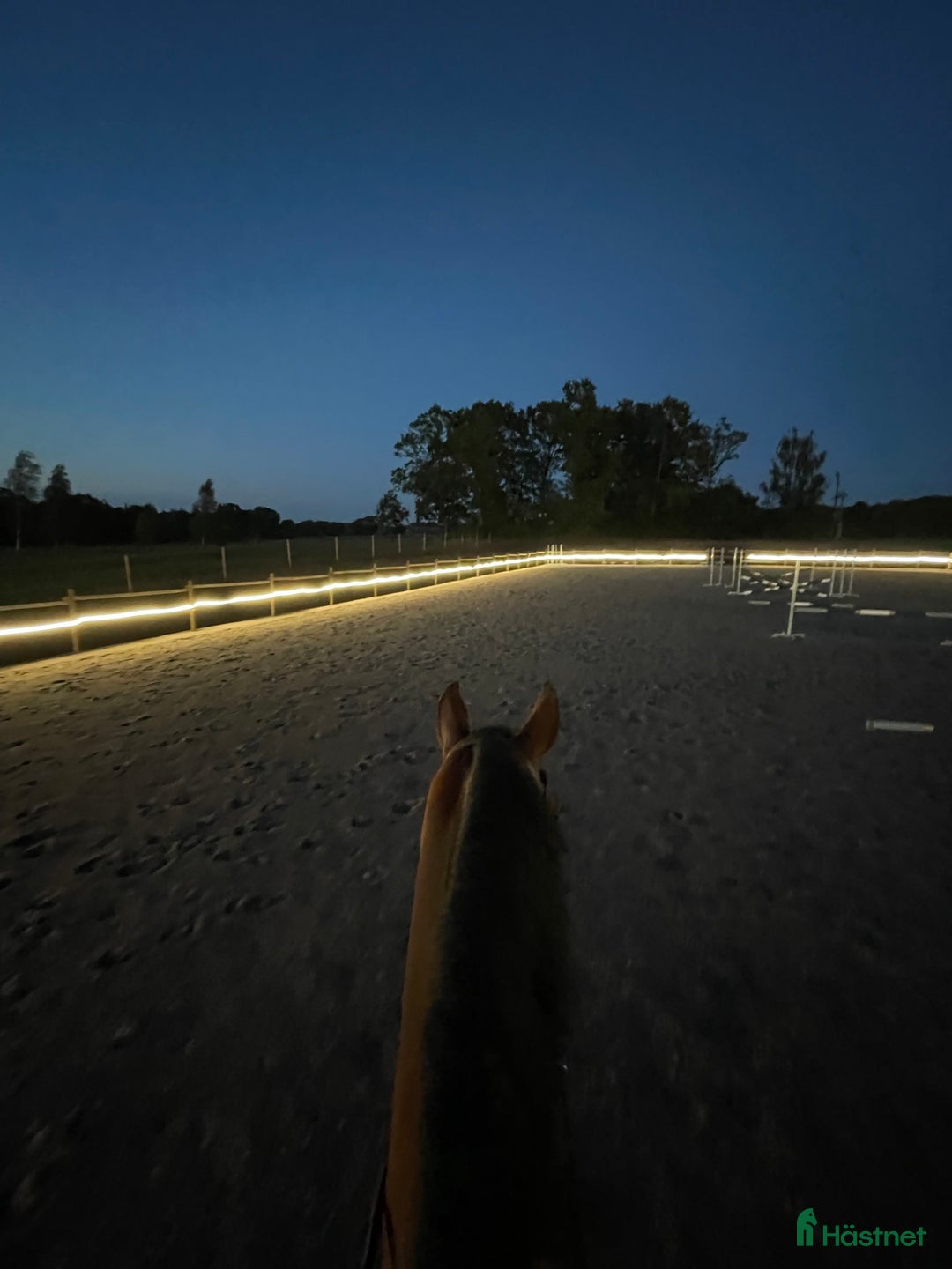  stallplats finnes: Stallplats uthyres i Stoby - Annons 2