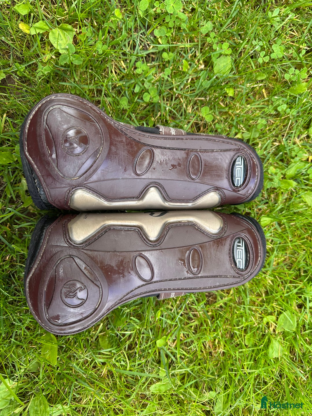 Benskydd hästutrustning till salu: Senskydd Pretsige i Borlänge - Annons 4