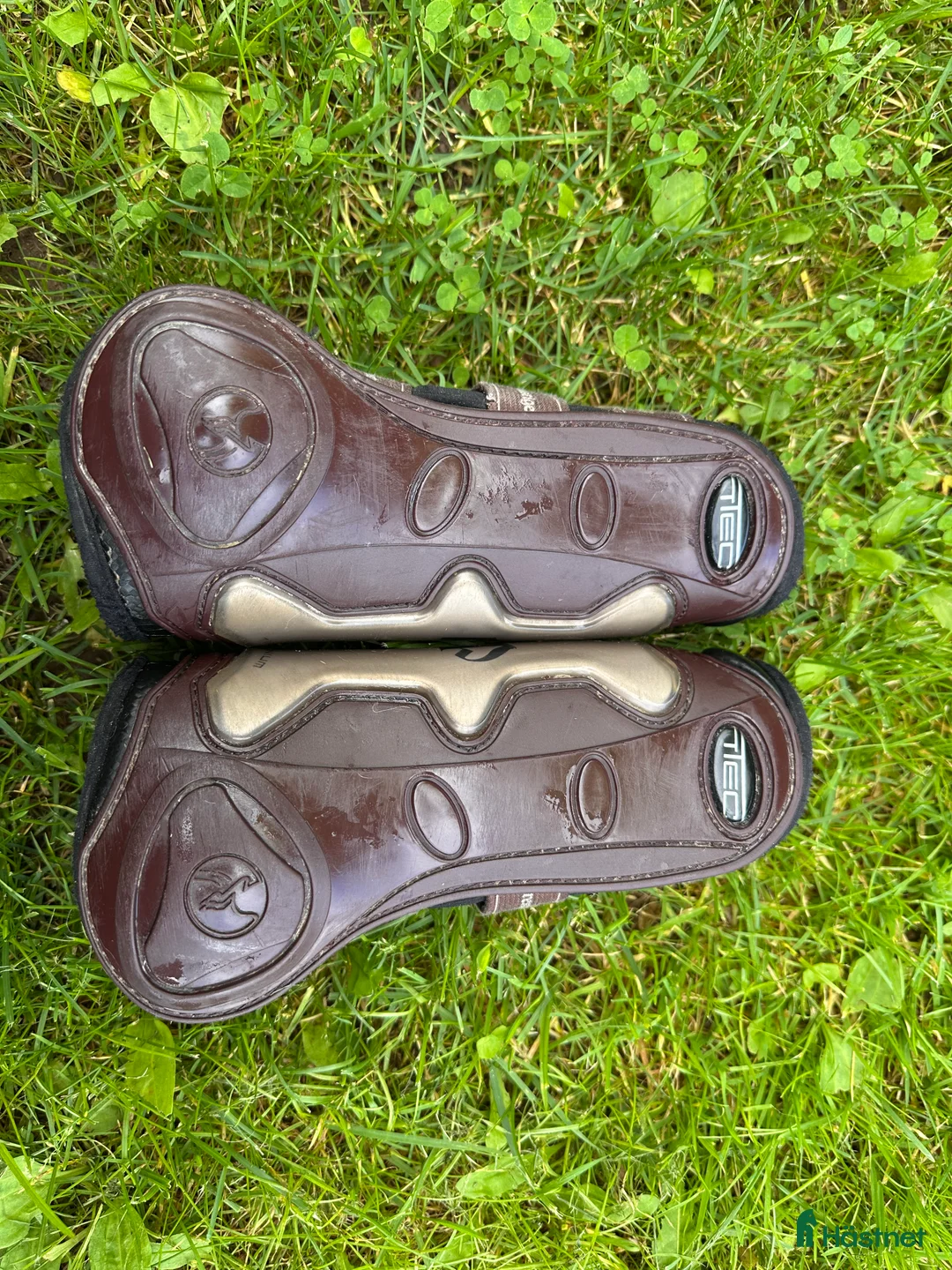 Benskydd hästutrustning till salu: Senskydd Pretsige i Borlänge - Annons 4