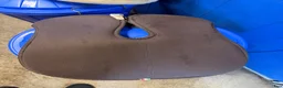 Sadeltillbehör hästutrustning till salu: Acavallo Memoryfoam Padd - Annons 4