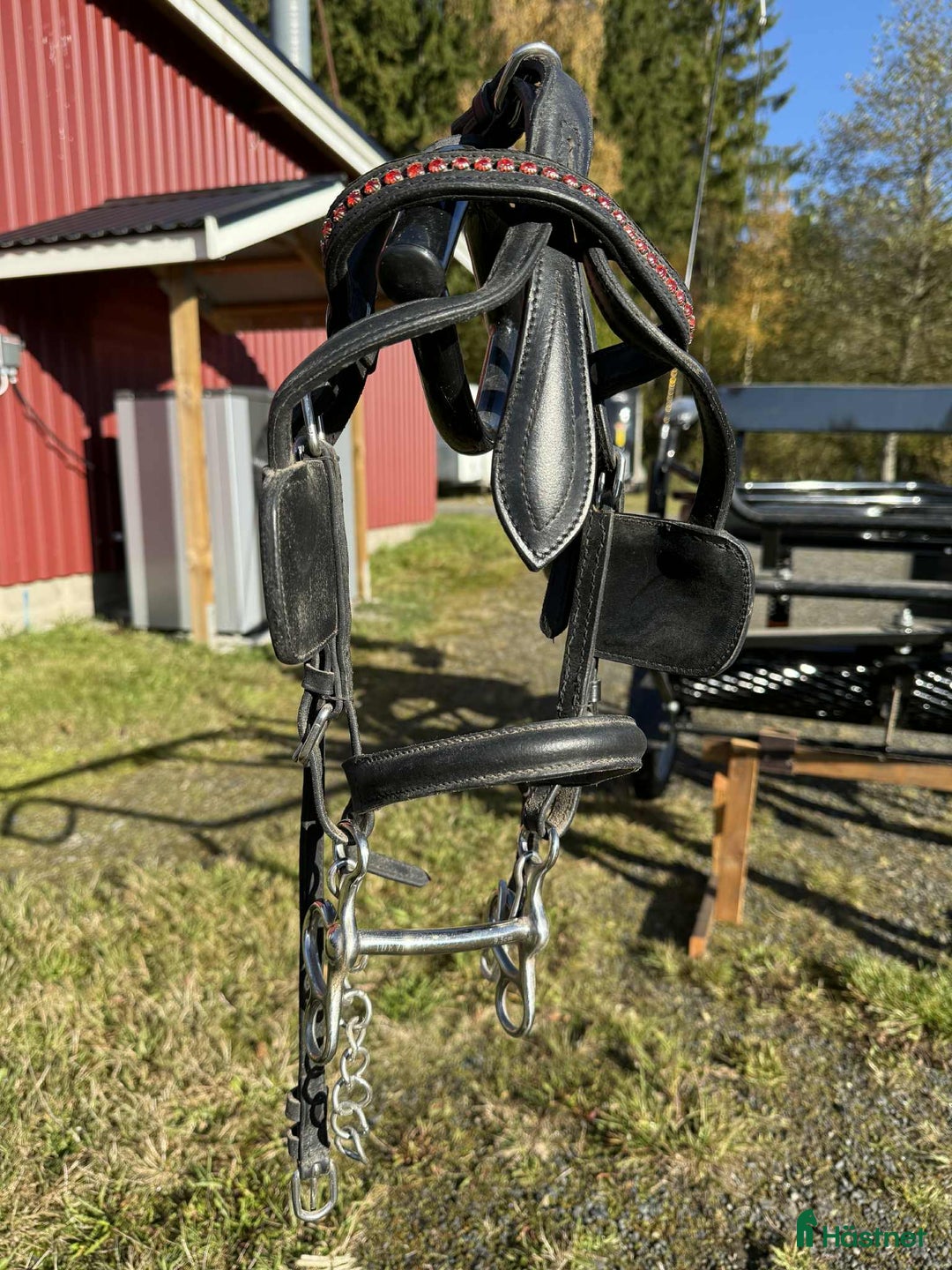 Körsulkys körning till salu: Körsele Sofie & träns till shettis i Perstorp - Annons 2