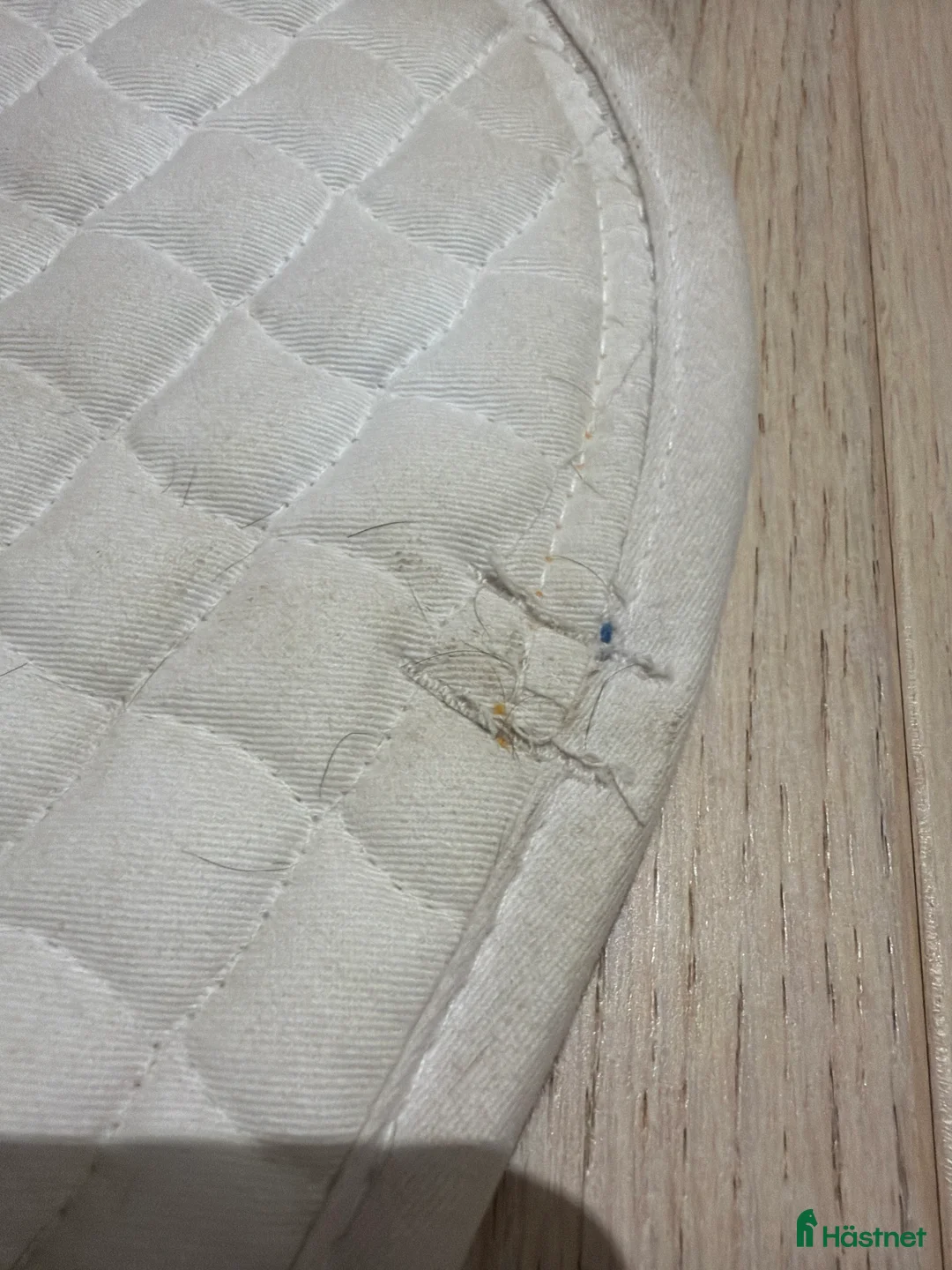 Schabrak & Vojlockar hästutrustning till salu: Vitt tävlingsschabrak - Annons 3