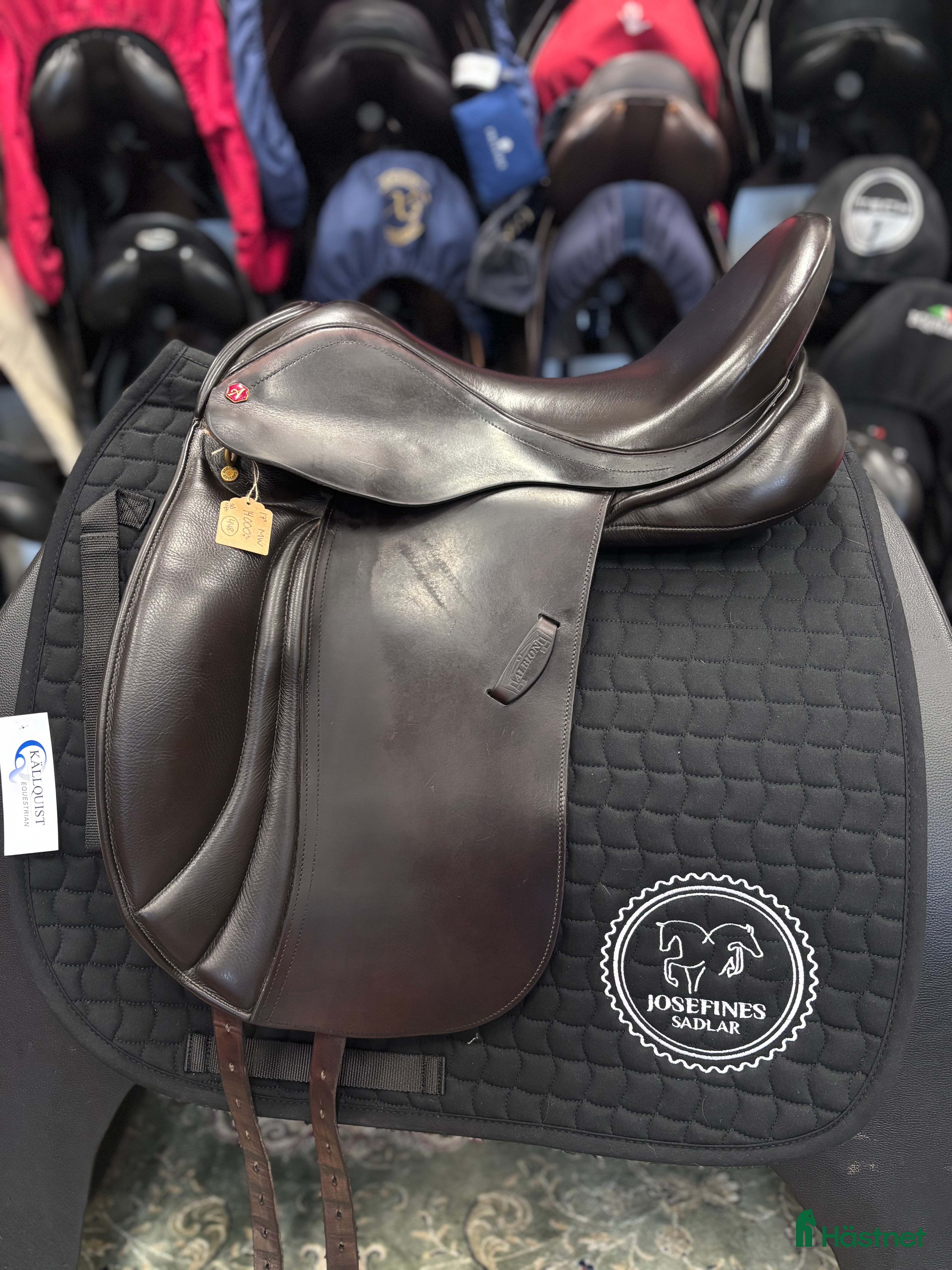 Sadlar hästutrustning Albion Legend 🌸 - Annons 1