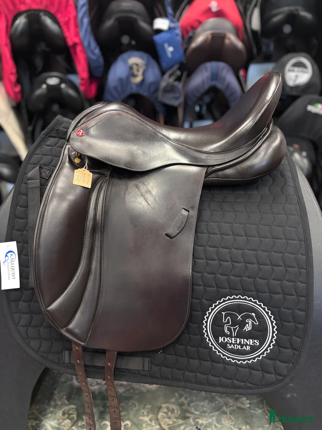 Sadlar hästutrustning till salu: Albion Legend 🌸 - Annons 1