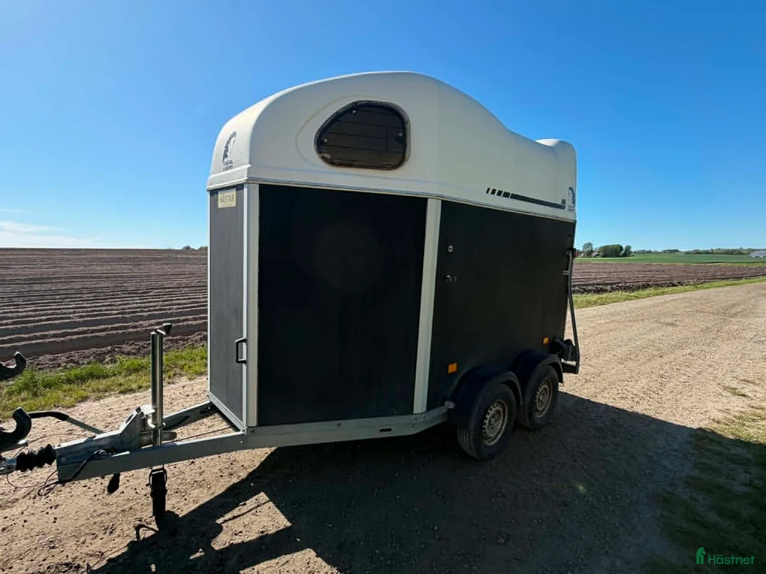 Hästtransporter  fordon & transport till salu: Fin hästtransport utan sadelkammare - Annons 2