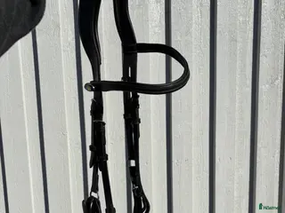 Träns hästutrustning Ps träns - Annons 2