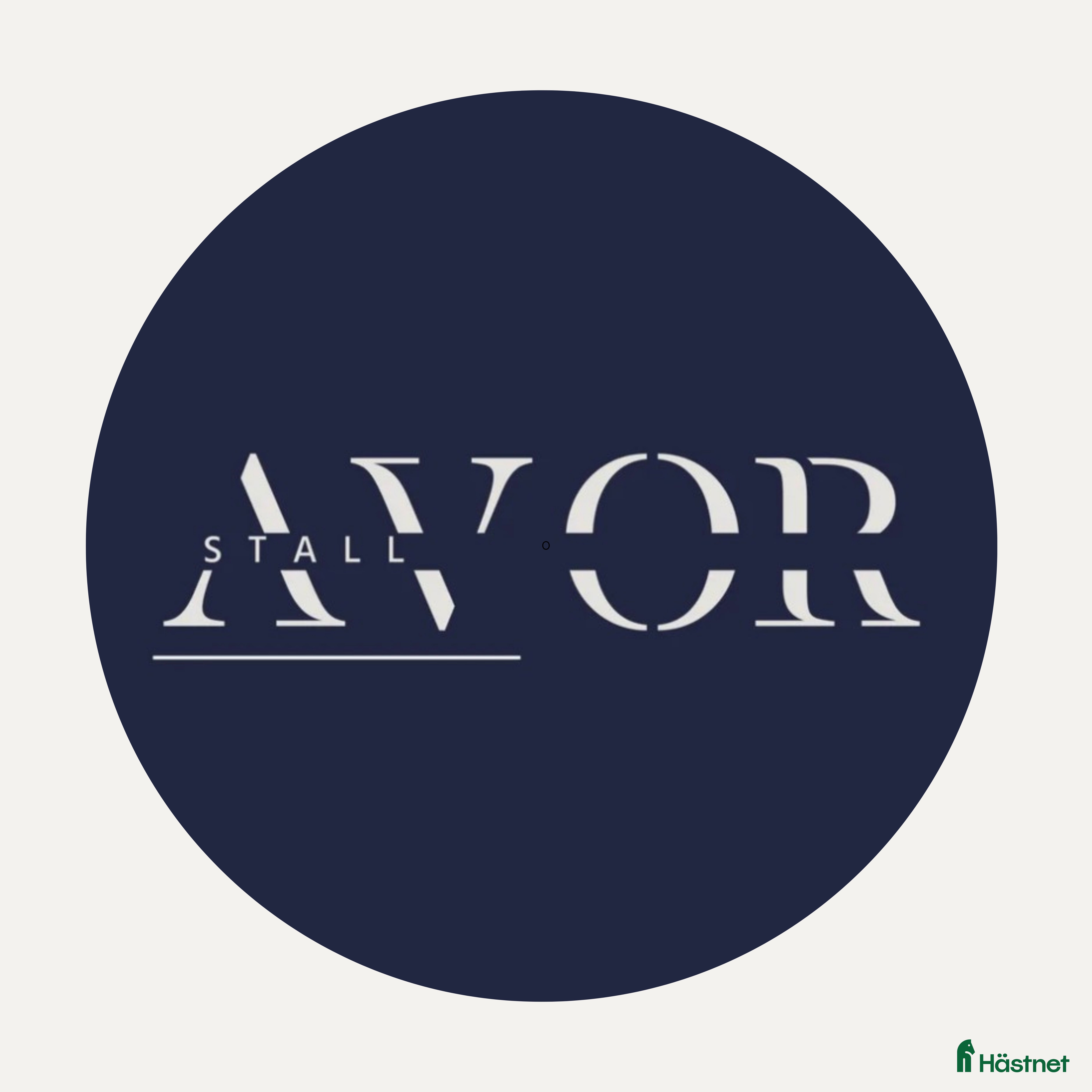  stallplats Lösdrift med fullservice för unghingstar i Norrköping - Annons 16